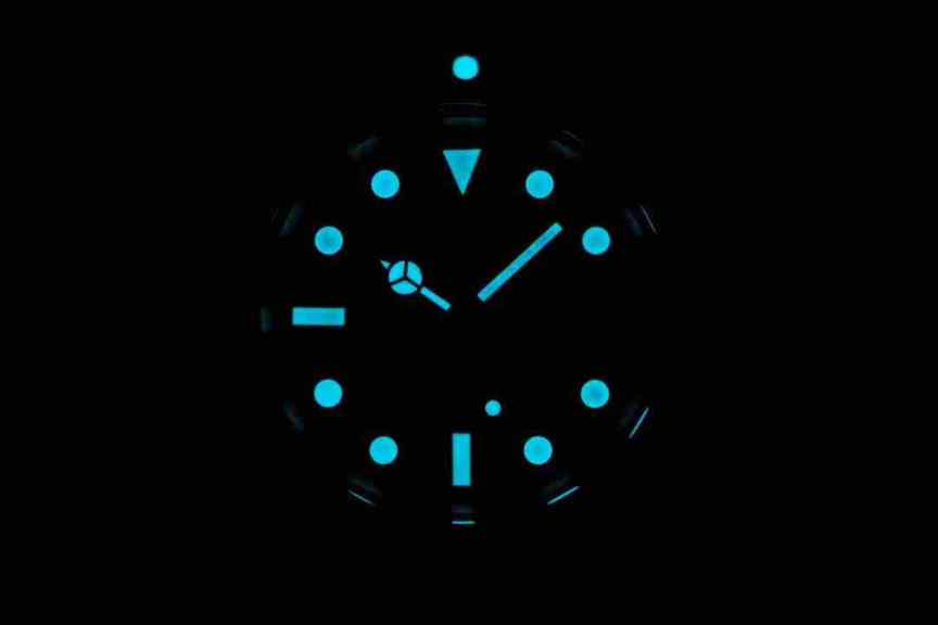 N厂黑水鬼V10版本-细节图9