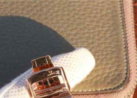 高仿积家旋转手表-细节图8