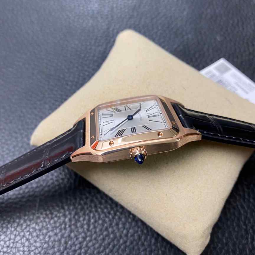 f1卡地亚山度士-细节图4