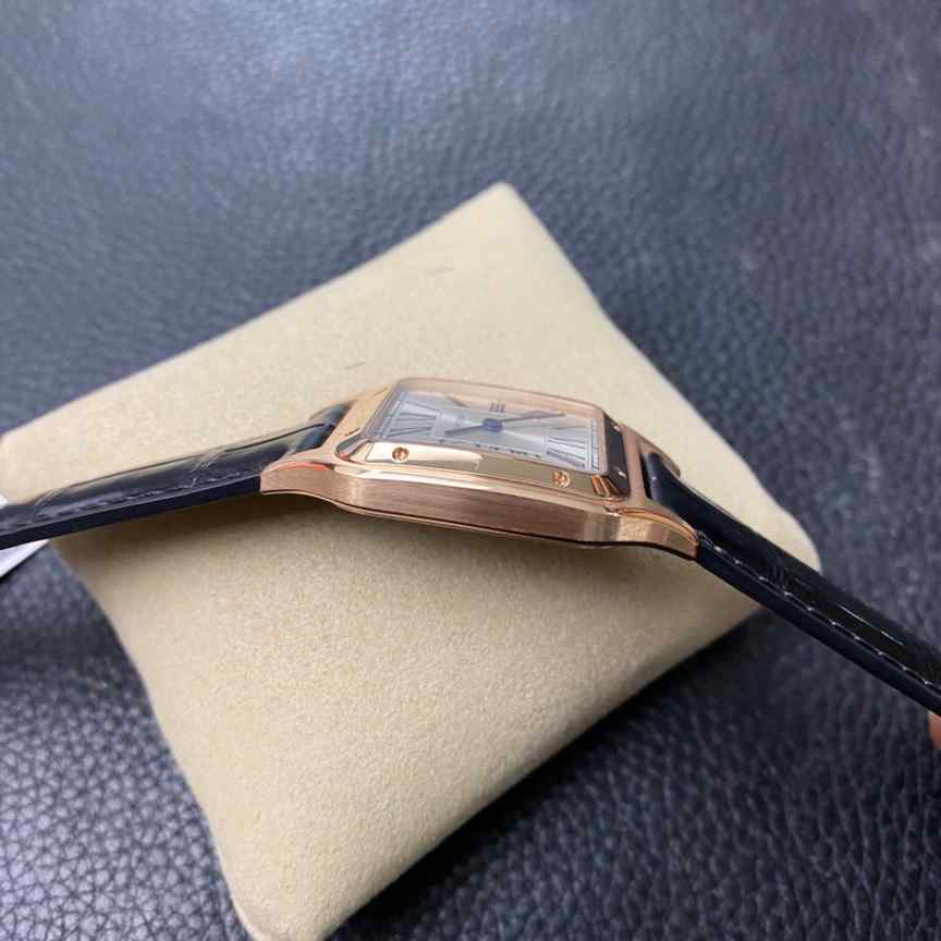 f1卡地亚山度士-细节图5