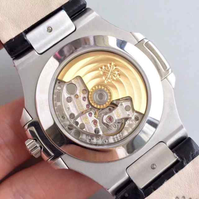 pf厂黑面鹦鹉螺-细节图7