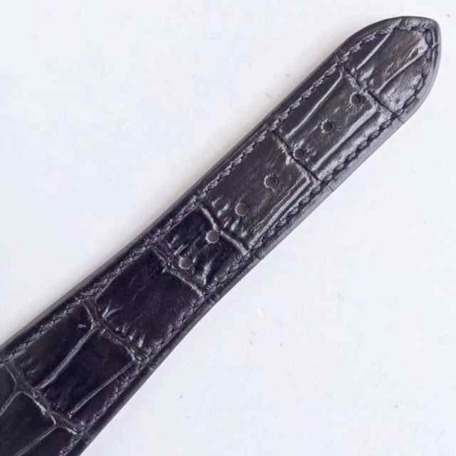 pf厂黑面鹦鹉螺-细节图9