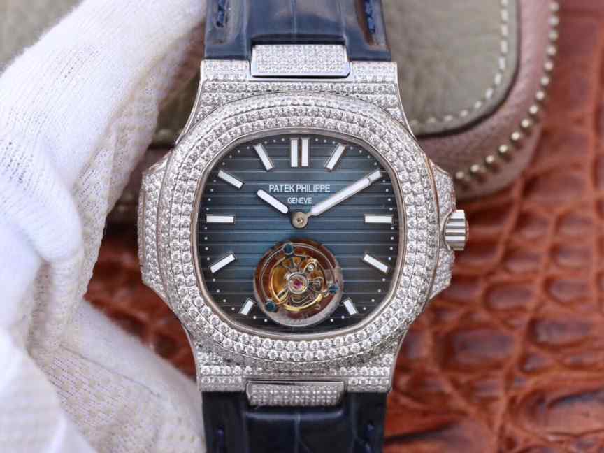 R8厂满天星鹦鹉螺-细节图1