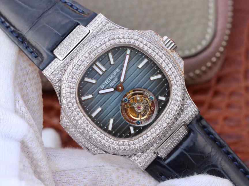 R8厂满天星鹦鹉螺-细节图2