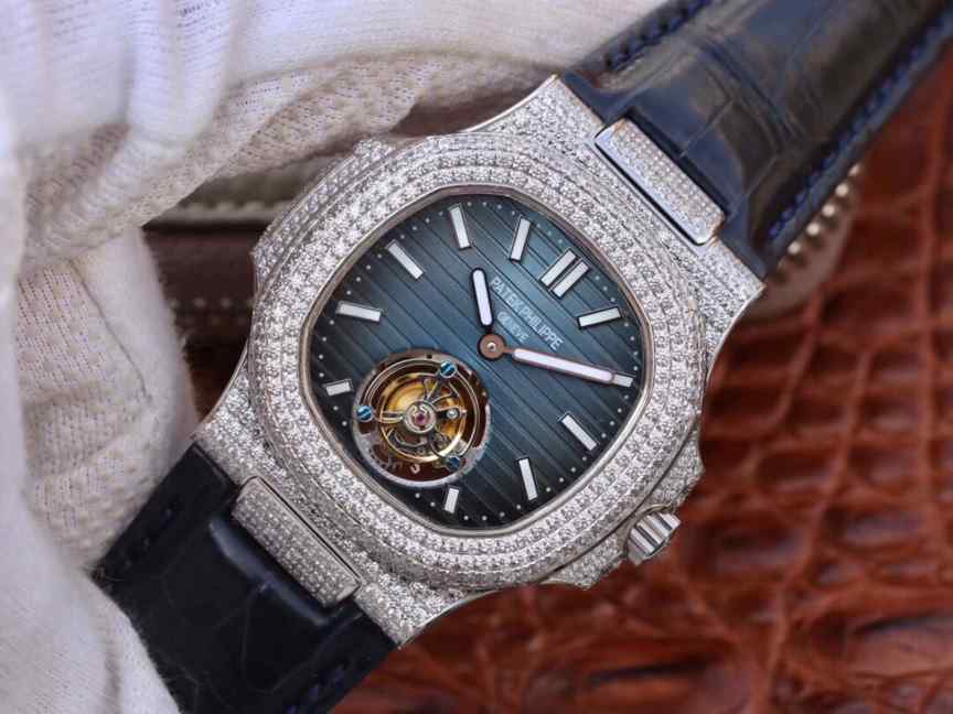 R8厂满天星鹦鹉螺-细节图3