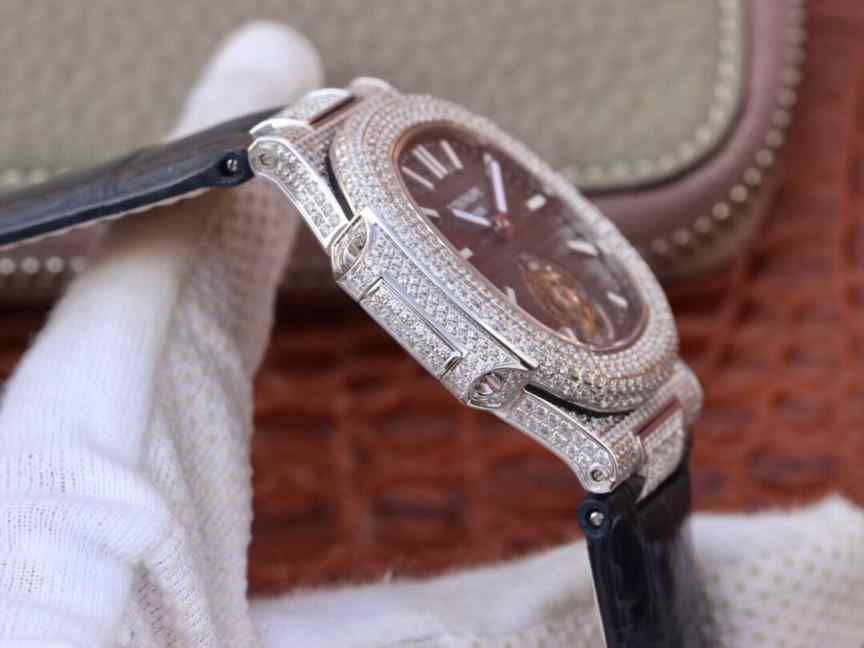 R8厂满天星鹦鹉螺-细节图5