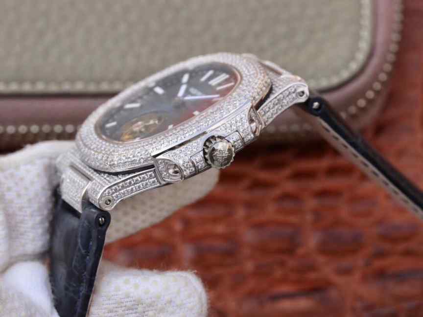 R8厂满天星鹦鹉螺-细节图6