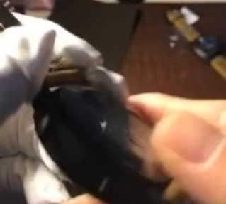 最新zf复刻的沛纳海580-细节图6